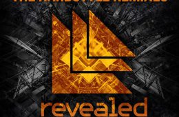 CD Cover of The Hardstyle Remixes